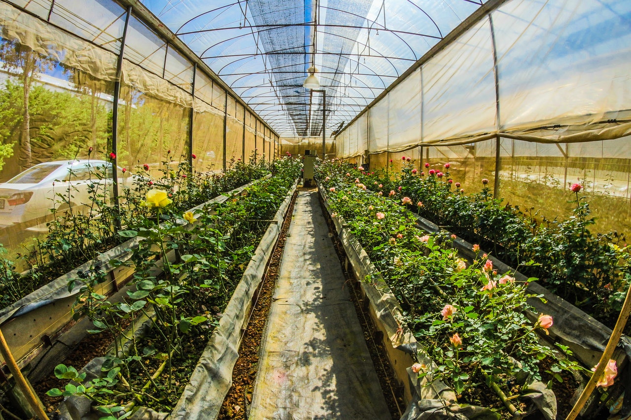 agriculture cultivate farm